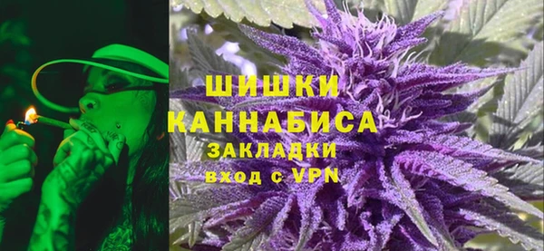 бошки Бородино