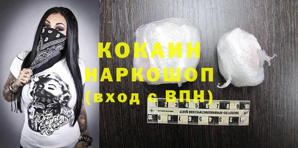 бошки Бородино