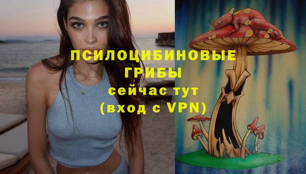 бошки Бородино