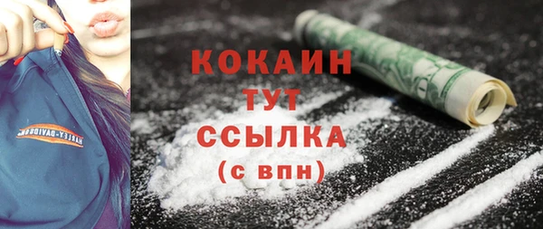 бошки Бородино